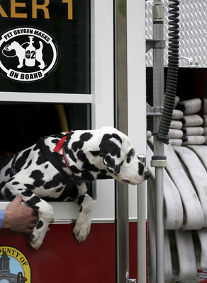 Pets Breathe Easier with Holiday Donations to Fire and Rescue Departments