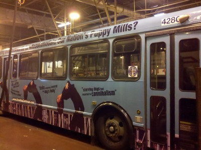 MLAR Brings Attention to the USDA and their Failure to Protect Dogs in US Puppy Mills by Putting Their Message on a Transit Bus in Washington DC