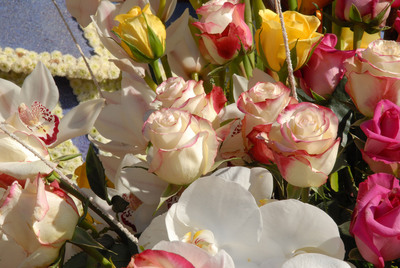 Bayer Advanced™ Recreates The Legend of Camelot With Its 2011 Rose Parade® Float on January 1