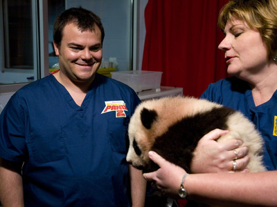 Zoo Atlanta and DreamWorks Animation Announce Panda Cub's New Name
