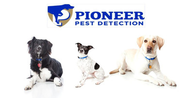 Pioneer Pest Detection: A Team of Noses Sniffs Out Bedbugs