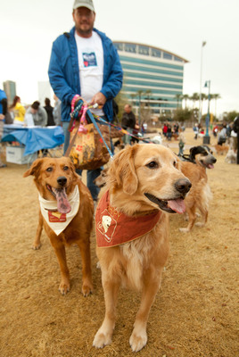 Save the Date to Raise $300,000 and Save Homeless Pets in Philadelphia at the PetSmart Charities® PetWalk™