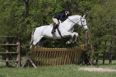 SCAD Wins 7th Equestrian National Championship
