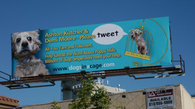 Billboard Asks Ashton Kutcher and Demi Moore to Tweet and Help Dogs in Puppy Mills