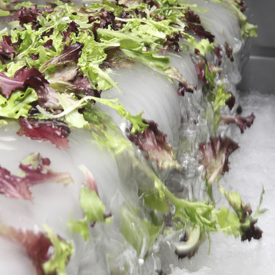 Fresh Express Salads Now Washed With New Breakthrough Fresh Rinse™ Produce Wash Providing Important Food Safety Benefits