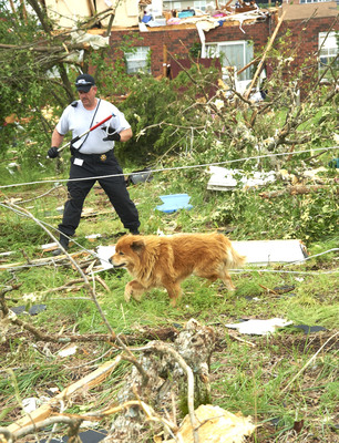 Video Highlights:  Humane Society of Missouri Disaster Response Team Pet Rescues in Wake of Disaster in Joplin, Missouri