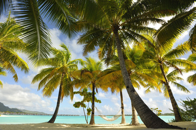Stopover in Paradise This Summer: Air Tahiti Nui Offers Three Free Nights in Tahiti