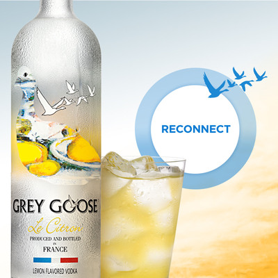 GREY GOOSE® Vodka Unveils Innovative, Proprietary Facebook Application Designed to Reconnect Friends