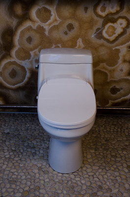 Brondell Introduces Affordable Hi-Tech Toilet Seat