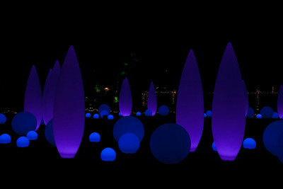 Lighting Science Group Designs LED Winter Wonderland for the Atlanta Botanical Garden