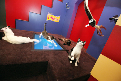 Friskies® Plus™ Playhouse: The Ultimate Cat Pad