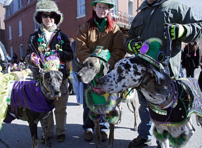 Dogs and Owners Celebrate Their Love for the Smell of Bacon at the 19th Annual Beggin'® Pet Parade