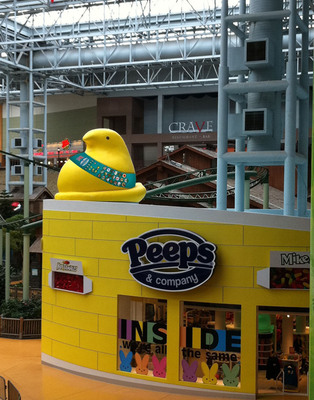 PEEPS &amp; COMPANY® Honors Girl Scouts' 100th Anniversary at Mall of America