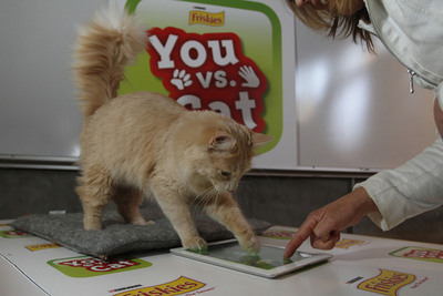 Friskies® Launches "You vs. Cat," The First Ever Duel-species Tablet Game