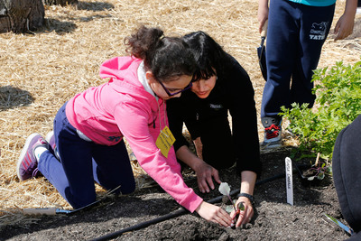 Seeds of Change® To Donate 25 Million Seeds To Support Organic School Gardens