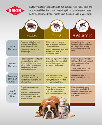 Protect Your Pets from Fleas, Ticks and Mosquitoes this Summer