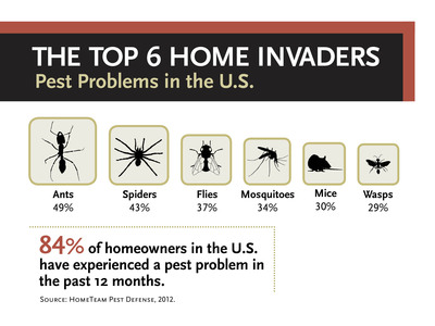 Survey finds 84 percent of homeowners experienced a pest problem in the past 12 months
