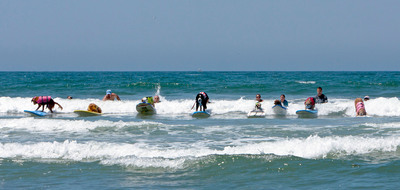 Dogs Set To "Make Waves" At 7th Annual Helen Woodward Animal Center Surf Dog Surf-A-Thon, Sponsored By Iams