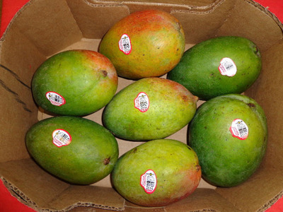 BI-LO Issues Voluntary Recall on Daniella Brand Mangoes Due to Possible Health Risk