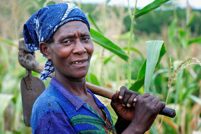 FBSciences and Clinton Foundation Announce Significant Advancements for African Crop Production