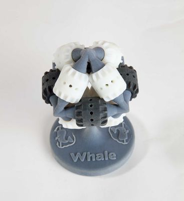 Whale Cuts Product Development Timescales With Objet 3D Printing