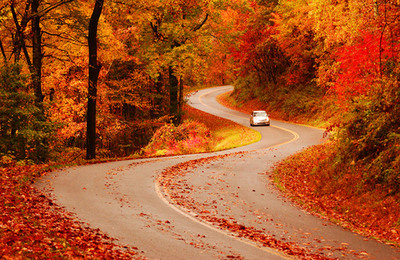 Nine Creative Ways to See North Carolina's Fall Colors