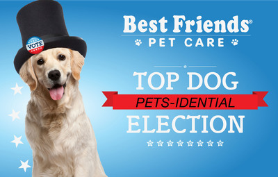 Pets-idential Election Race Searches for Top Dog for 2013