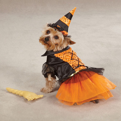 Wayfair.com Announces Most Popular Pet Costumes for Halloween 2012