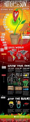 Hotter Than the Sun: Lovethegarden.com Launch Infographic About Chillies