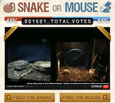 Feeling Dubious About the Debate? SnakeOrMouse.com Offers all the Election Kicks You Need