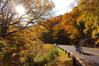 Fall Colors Surge: Peak Foliage Coming Soon To Asheville, NC