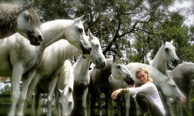 Equestrian Superstar Sylvia Zerbini Makes Directorial Debut In Valitar™