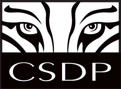 Essintial Enterprise Solutions chooses CSDP for Business Process Mapping and Consulting Support