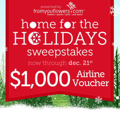 From You Flowers Announces their Christmas Sweepstakes: Home for the Holidays!