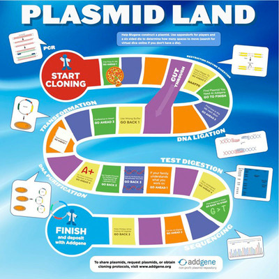 A Free Board Game Called Plasmid Land Explains The Basics Of Plasmid Cloning