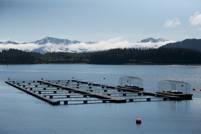 Study Examining The Impact Of Prince William Sound Aquaculture Corporation On Alaska's Economy Found Significant Return-On-Investment And Opportunities For Growth