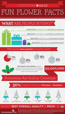 From You Flowers publishes the Christmas 2012 Flower Fact Infographic