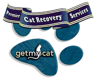 GetMyCat announces first year results: 2200 helped to find lost cats