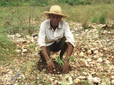 Timberland Helps Haiti Plant 2 Million Trees, and Counting