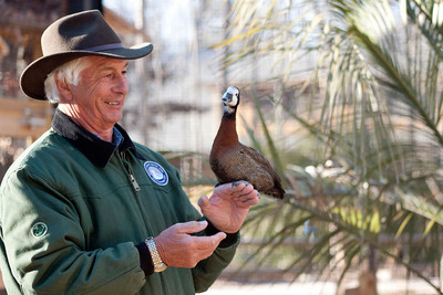 NC Bird Park Comes to the Rescue of Near-Extinct Ducks in Trinidad