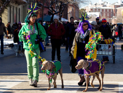 Thousands of Dogs and Owners Paraded Through St. Louis at the 20th Annual Beggin'® Pet Parade