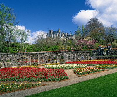 Signs of Biltmore's colorful springtime blooming season are underway, with official start on March 21