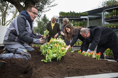 Official Opening Keukenhof 2013 to be Performed by Henk Kamp, Minister of Economic Affairs