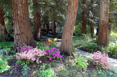 Korbel Garden Showcases the Beauty of Sustainability