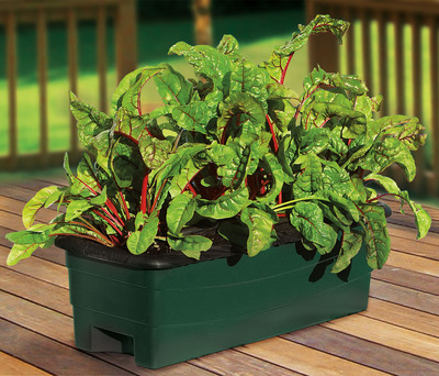 EarthBox® Introduces Container Garden Kit for Small Spaces