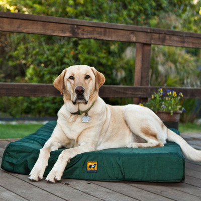 Proper Canine Beds Essential for Dogs' Health, Says The Uncommon Dog