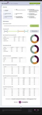 Socialbakers Offers Brands Free Ads Performance Reports