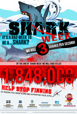 1,848,000 Sharks Will be Killed During Shark Week, Notes New Infographic by InfographDesign.com
