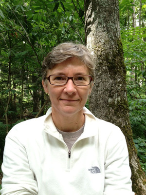 Johns Hopkins Welcomes New Environmental Studies Program Director