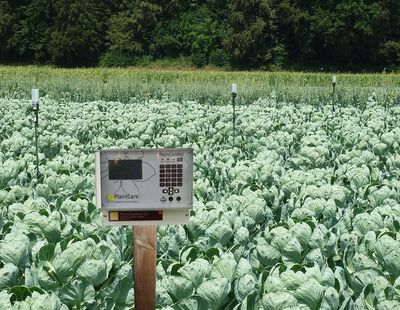 Breakthrough in Agricultural Irrigation: PlantCare's Invention Supports Sustainable World Food Production
